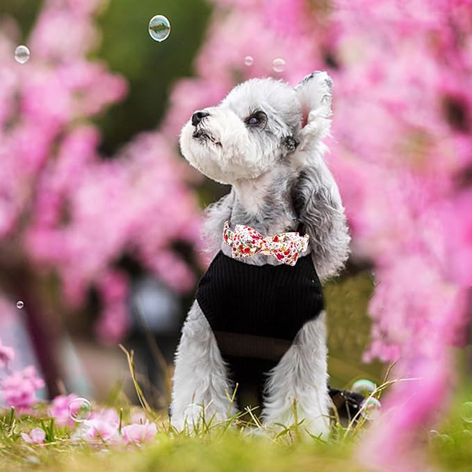 Elegant little tail Dog Collar - Image 5