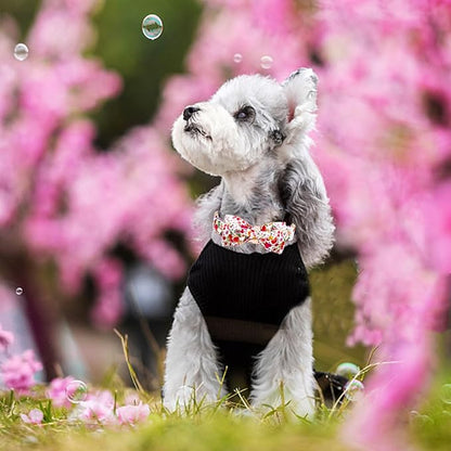 Elegant little tail Dog Collar - Image 5