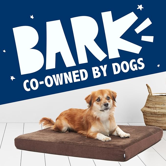 Barkbox Orthopedic Dog Bed | Comfortable Memory Foam Mattress - Image 7