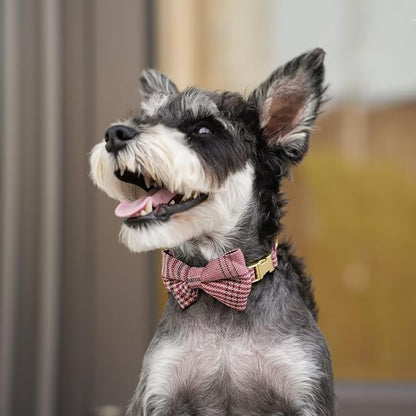 Beirui Cute Extra Small Dog Harness Collar and Leash Set - Image 5