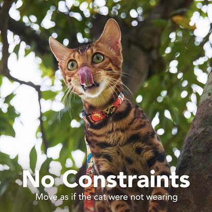 Cat Harness and Leash Set - Image 5