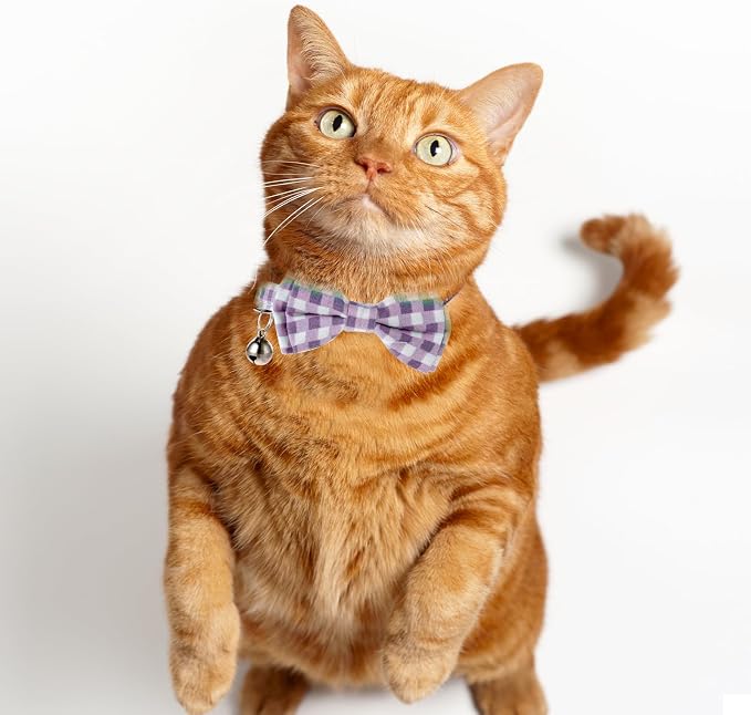 2 Pcs Kitten Collar with Bell Cute Cat Collar - Image 7