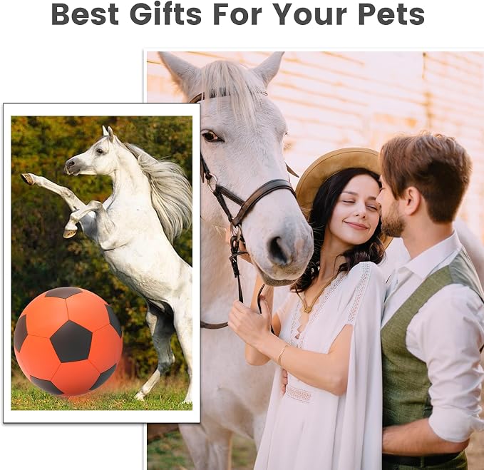 Diman Herding Ball for Dogs: 25 Inch Horse Balls for Outdoor Play, Large Dog - Image 6