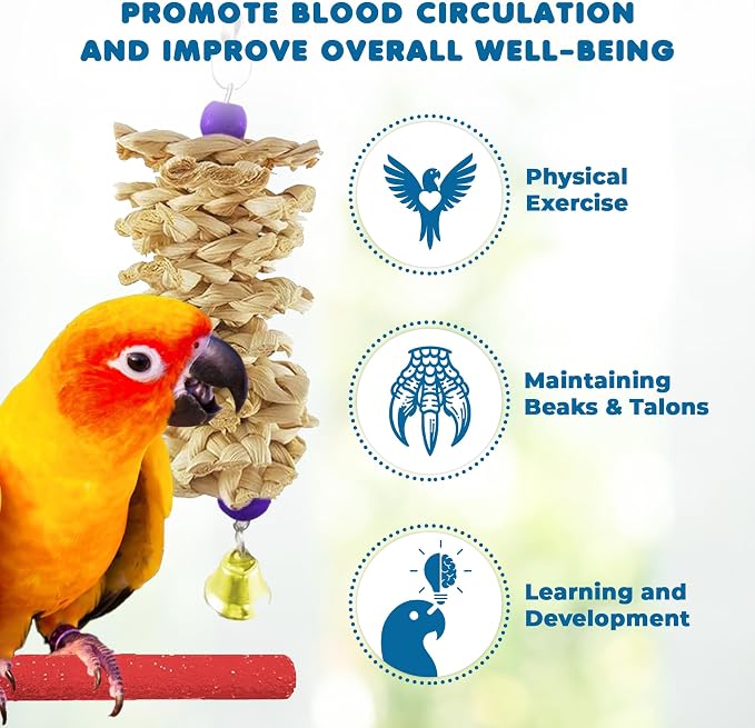 SunGrow Parrot Swing and Perch Bundle, Keep Birds from Hatching Plans - Image 4