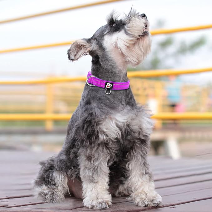 azuza Reflective Dog Collar, Soft Neoprene Padded Pet Collar - Image 5