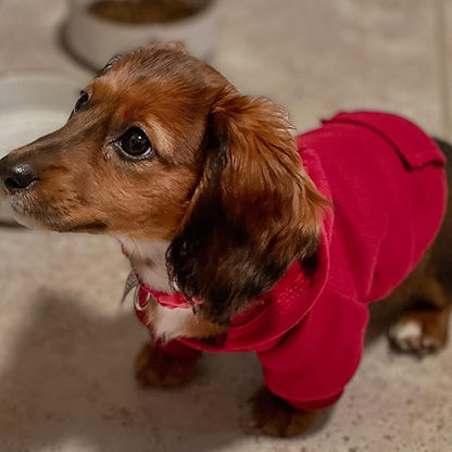 Jecikelon Winter Dog Hoodie Sweatshirts - Image 2
