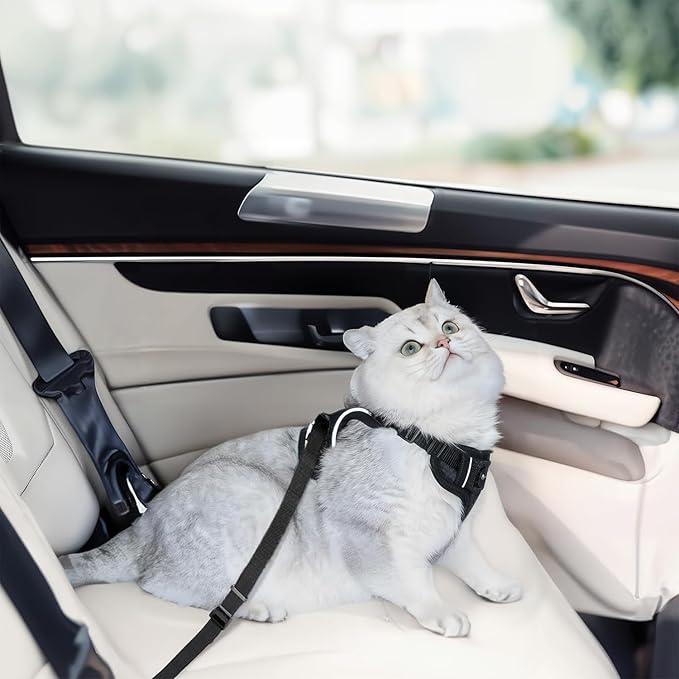 Cat Harness and Leash for Walking, Cat Car Harness, Escape Proof Soft - Image 4
