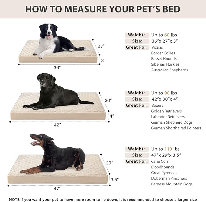WNPETHOME Orthopedic XL Dog Beds Large Sized Dog, Waterproof Extra Large Dogs - Image 5