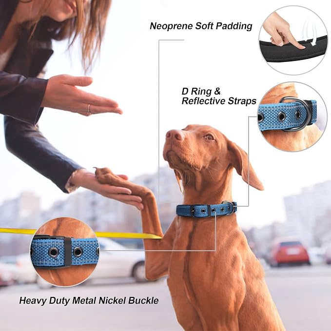 PetiFine Dog Collars for Medium Dogs, Neoprene Padded and Adjustable, - Image 2