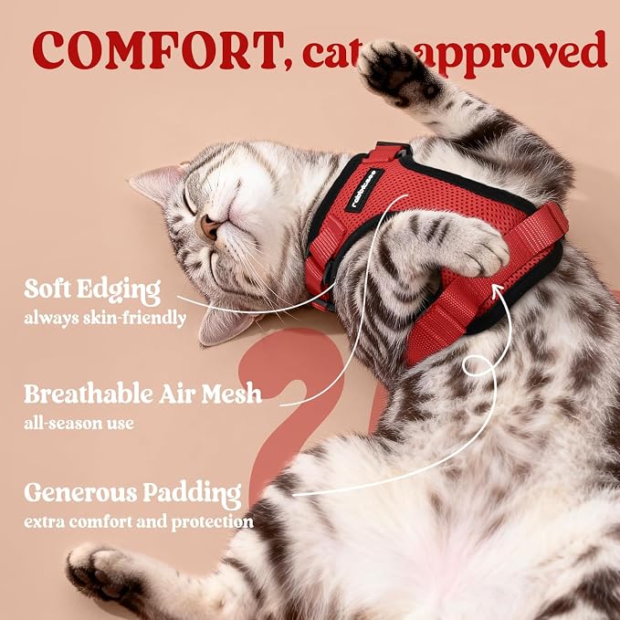 rabbitgoo Cat Harness and Leash - Image 4