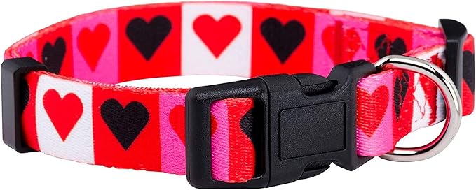 Native Pup Valentine’s Dog Collar- Valentines Day Pet Collars- Valentine Girly by NativePup
