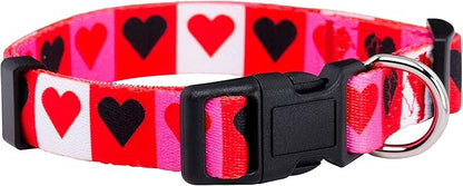 Native Pup Valentine’s Dog Collar- Valentines Day Pet Collars- Valentine Girly by NativePup