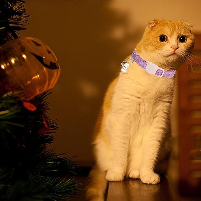Elegant little tail 2 Pack Cat Collar- Halloween Orange&Purple Linnet Cat - Image 6