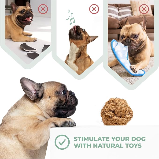 Alfred & Beebee Eco-Friendly Natural Coffee Wood Dog Chew Toy 4 Pack - Image 5