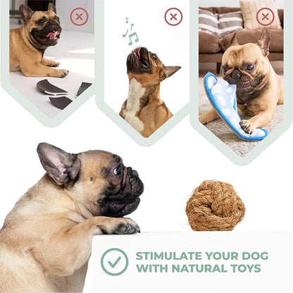 Alfred & Beebee Eco-Friendly Natural Coffee Wood Dog Chew Toy 4 Pack - Image 5