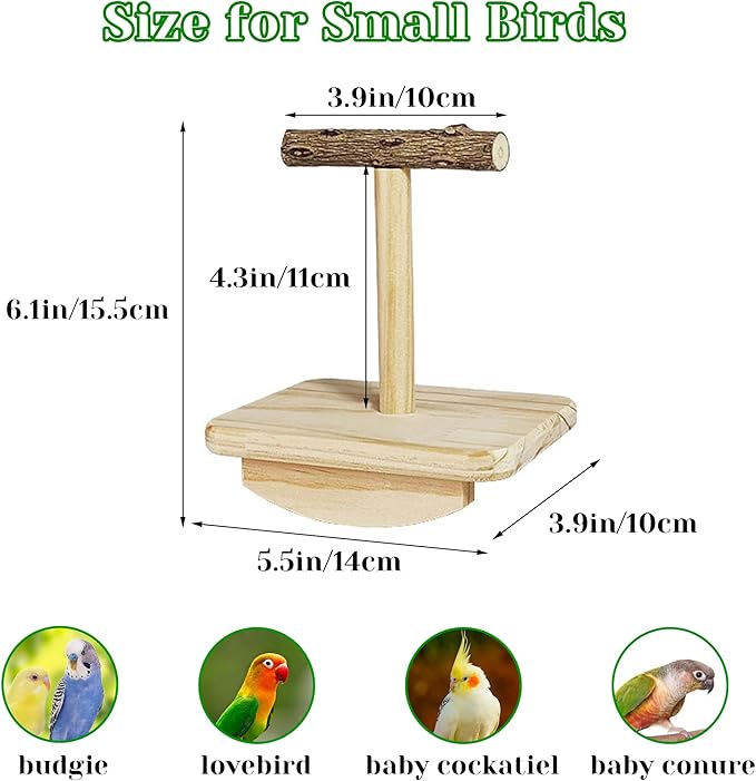 Natural Wood Bird Perch Stand Training, Intelligence Puzzle Enrichment Toys - Image 4