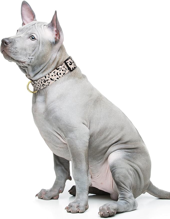 Reflective Dog Collar for Medium Dogs, Cute Leopard Style Adjustable Heavy-Duty - Image 2