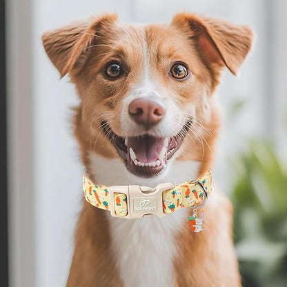 Easter Dog Collar for Giant Large Dogs - Image 7