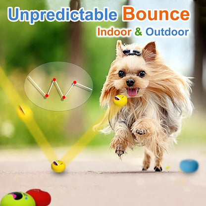 Latex Squeaky Dog Toys for Small Dogs & Mini Breeds - Image 7