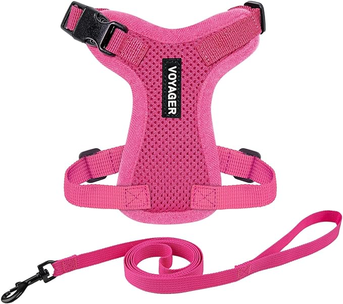 Voyager Escape-Proof Step-in Lock Cat Harness & 5ft Neoprene-Handle Leash Set by BestPetSuppliesLLC