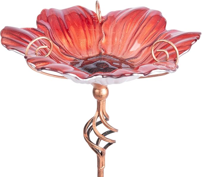 MUMTOP 31 Inch Height Glass Birdbath Birdfeeder by MUMTOP