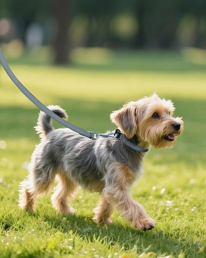 Joytale Small Dog Collar, Reflective and Adjustable Nylon Collar - Image 6