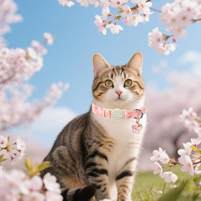 Unique style paws 2 Pack Spring Summer Kitten Collar Breakaway - Image 6