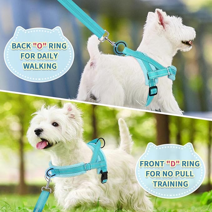SlowTon No Pull Small Dog Harness and Leash Set, Puppy Soft Vest Harness Neck & - Image 4