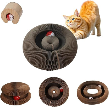 Magic Organ Cat Scratching Board by Unknown