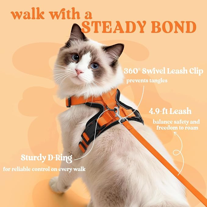 rabbitgoo Cat Harness and Leash - Image 5