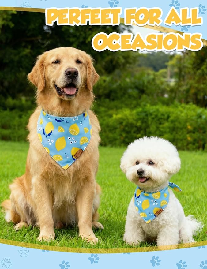 Luxury Double-Layer Dog Birthday Bandana – Handmade, Silk-Soft Polyester - Image 2
