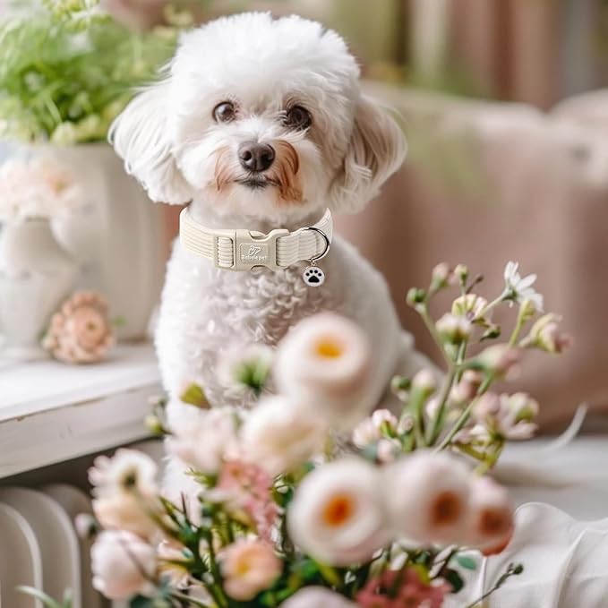 Cute Corduroy Dog Collar - Image 5