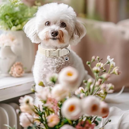 Cute Corduroy Dog Collar - Image 5