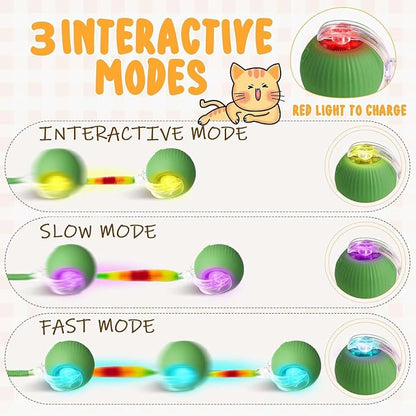 2 PCS Interactive Cat Toy Rolling Ball Chewie Viral Dog Ball - Image 5