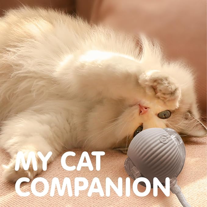 Rocfish Durable Interactive Cat Toys - Image 8