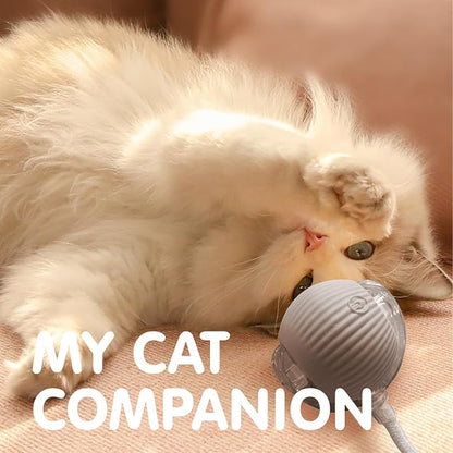 Rocfish Durable Interactive Cat Toys - Image 8