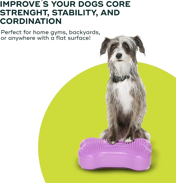 FitPAWS® K9FITbone® - Image 6