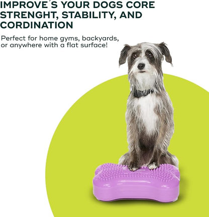 FitPAWS® K9FITbone® - Image 6
