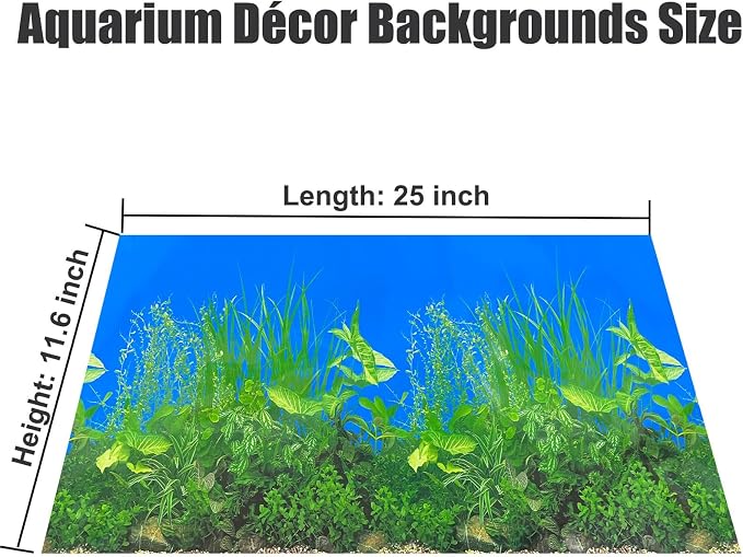 Fish Backgrounds Paper Double Sides Undersea Aquarium Background Poster - Image 5