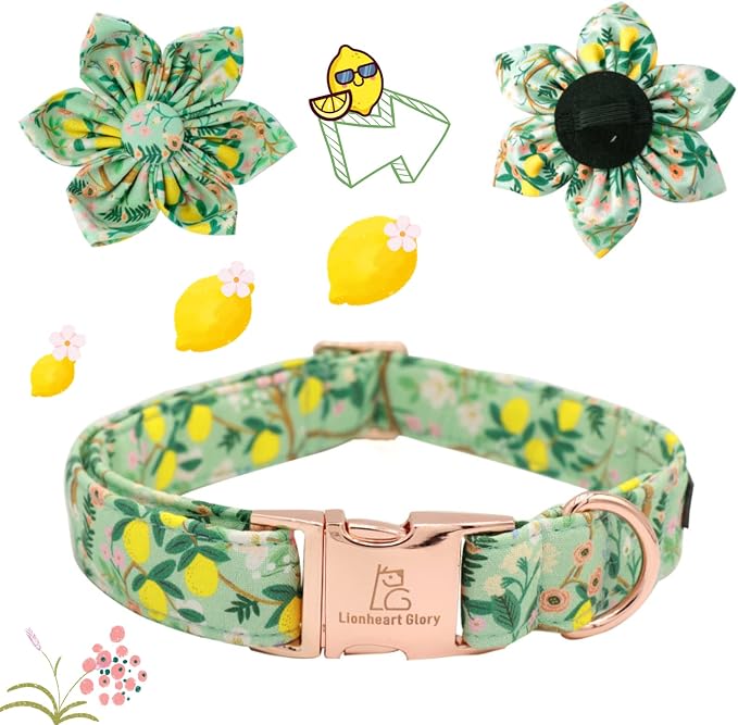 Lionheart Glory Dog Collar, Dog Collar - Image 2