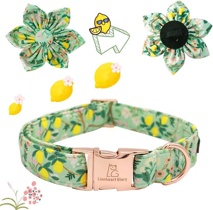 Lionheart Glory Cute Lemon Floral Pattern Adjustable Dog Collar - Image 2