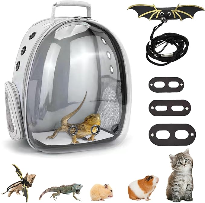 Bearded Dragon Carrier with Harness and Leash Set Large Small Animal Carrier by CUTENNIOU