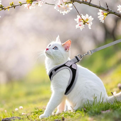 SCENEREAL Cat Harness and Leash Set Escape Proof, Adjustable Soft Air Mesh - Image 6
