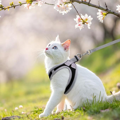 SCENEREAL Cat Harness and Leash Set - Image 6
