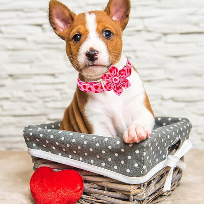 Lionheart glory Valentine's Day Dog Collar - Image 4