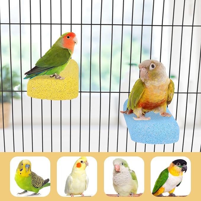 Wontee Bird Chewing Toys Grinding Beak Bird Perch Stand - Image 3