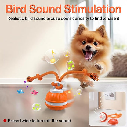 Interactive Dog Toys，Peppy Pet Ball - Image 6