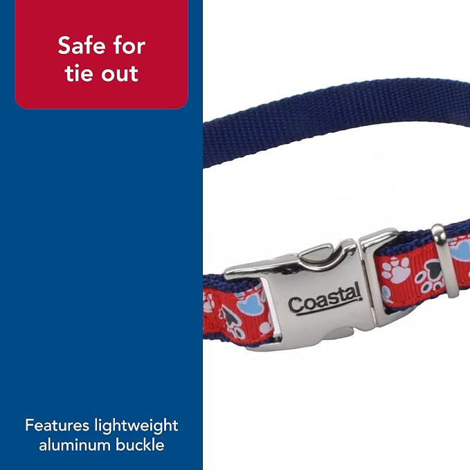 Coastal Pet - Ribbon - Adjustable Dog Collar - Image 5