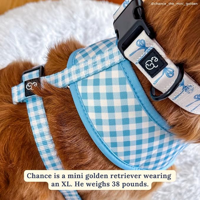 Lucy & Co. Cute Reversible Dog Harness Walking Halter - Image 4