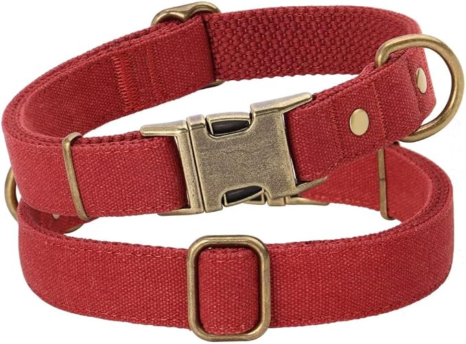 PET ARTIST Dog Collar for Large Dogs, Soft Padded Premium Nylon Dog Collar - Image 7